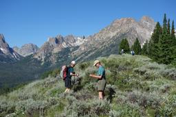 Greg, bob, mohamed and deirdre below thompson peak [thu jul 2 09:40:02 mdt 2015]